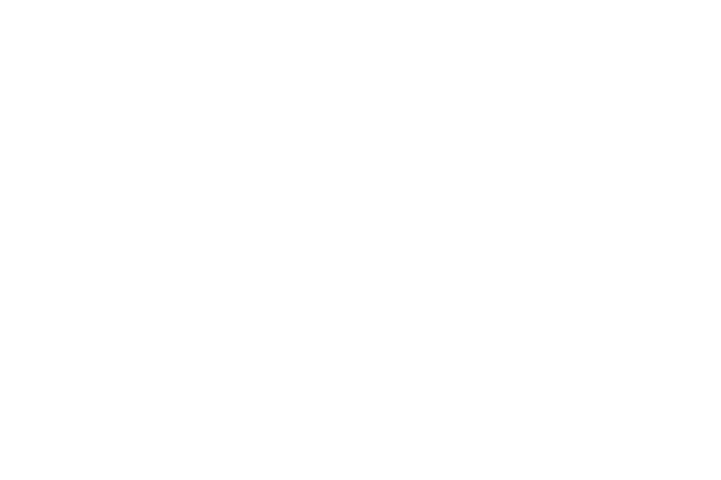 Logo — Full (White)